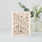 レソンドチョーズレシャンピニョン ポストカード (スタンド正面)