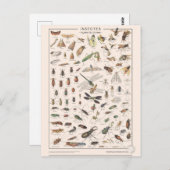 レソン・ド・チョーズ・レ・インセクト ポストカード (正面/裏面)