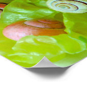 レタスのカタツムリ ポスター (角)