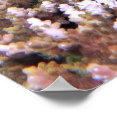 レタスのハタ ポスター (角)