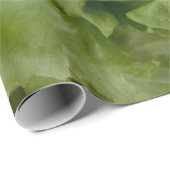 レタスのwrappngの紙 ラッピングペーパー (ロールコーナー)