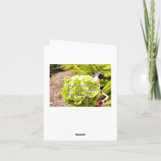 レタスは祈ります カード (裏面)