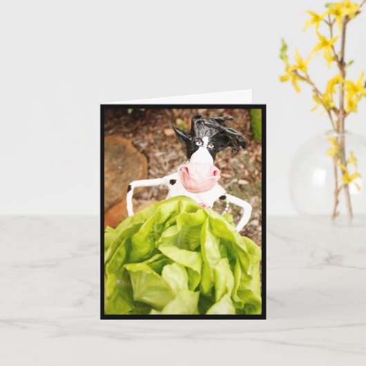 レタスは祈ります カード (黄色い花)