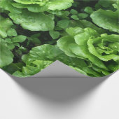 レタス層 ラッピングペーパー (角)