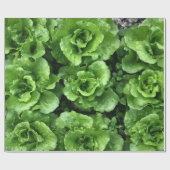 レタス層 ラッピングペーパー (フラット)