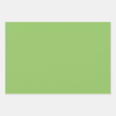 レタス緑無地の色 ラッピングペーパーシート (正面2)