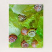 レタス520-pcのカタツムリ ジグソーパズル (縦)