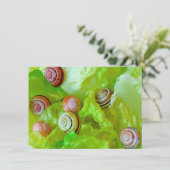 レタス・カードにカタツムリ (スタンド正面)