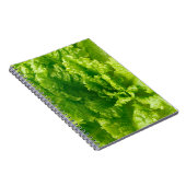 レタス ノートブック (右側)