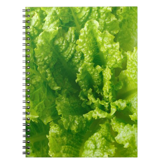レタス ノートブック (正面)