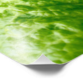 レタス フォトプリント            (角)