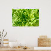 レタス ポスター (キッチン)