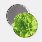 レタス マグネット (正面/裏面)