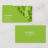 レタス 名刺 (正面/裏面)