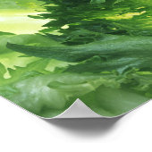 レタス（葉） ポスター (角)