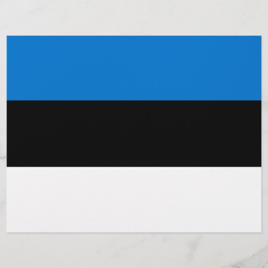 レターヘッドとエストニア国旗 レターヘッド (正面)