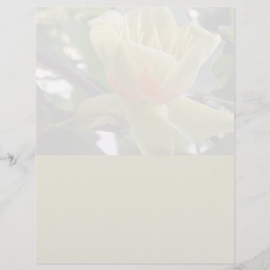 レターヘッド文房具の再生紙 (正面)