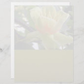 レターヘッド文房具の再生紙 (正面/裏面)