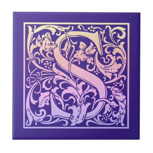 レターSカラフルヴィンテージ最初の文字のグラデーション タイル (正面)