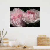 レダ ポスター (キッチン)