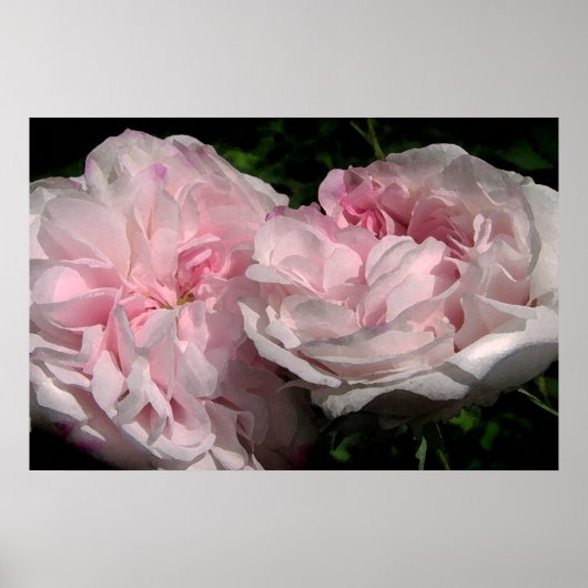 レダ ポスター (正面)