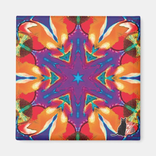 レチクル万華鏡のように千変万化するパターン磁石 マグネット (正面)