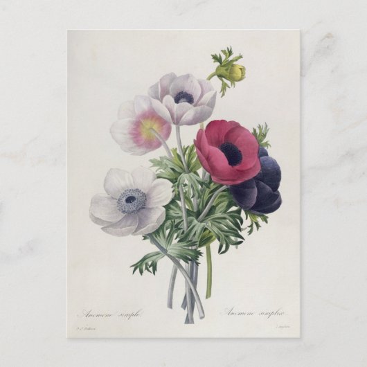 レチョイクスデプラスベルズフルーア ポストカード (正面)