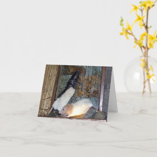 レックスとギズモペットラットノートカード カード (黄色い花)