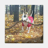 レックスの秋の棒 マグネット (正面)