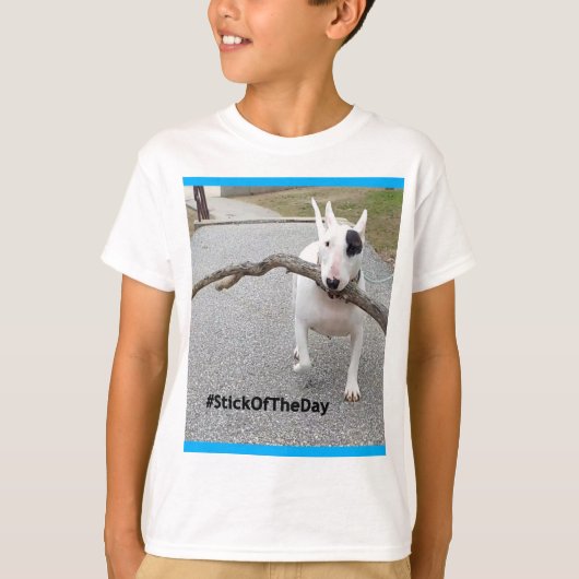 レックスはTVテリア日のティーの棒をからかいます Tシャツ (正面)