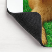 レックスザゴールデンドル マウスパッド (コーナー)