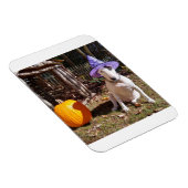 レックステリアハロウィーン磁石 マグネット (右側)