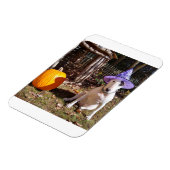 レックステリアハロウィーン磁石 マグネット (左側)