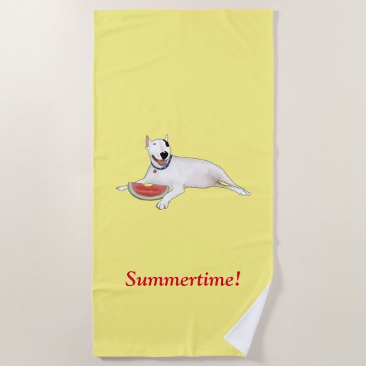 レックステリア夏期!ビーチタオル ビーチタオル (正面)