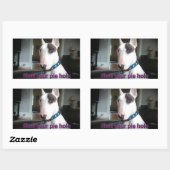 レックステレビのテリアあなたのパイの穴のシールを閉じる 長方形シール (シート)