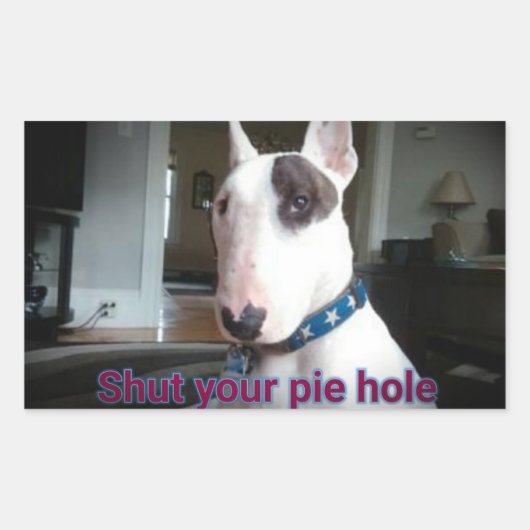 レックステレビのテリアあなたのパイの穴のシールを閉じる 長方形シール (正面)