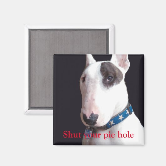 レックステレビのテリアシャットパイの穴の四角いマグネ マグネット (正面/裏面)