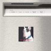 レックステレビのテリアシャットパイの穴の四角いマグネ マグネット (インサイチュ (食洗機))