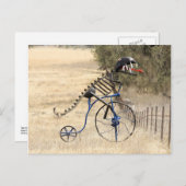 レックスライダー ポストカード (正面/裏面)