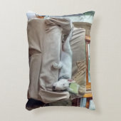 レックス アクセントクッション (正面(垂直))