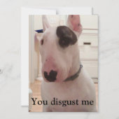 レックス·テレビ·テリアー私を嫌う マグネット招待状 (正面)