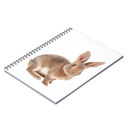 レックス ノートブック (左側)