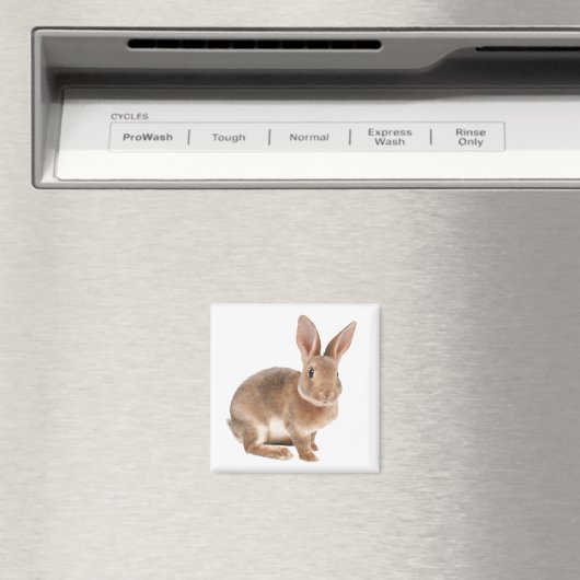 レックス マグネット (インサイチュ (食洗機))