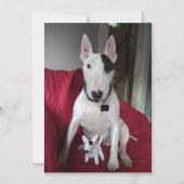 レックスTVテリアとDittoマグネット マグネット招待状 (正面)