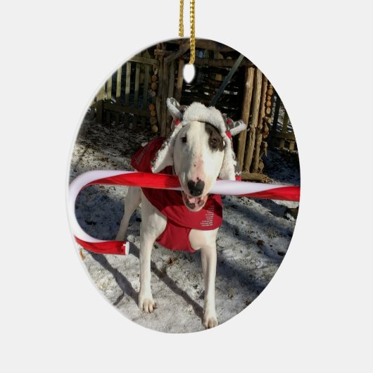 レックスTVテリアのクリスマスオーナメントキャンディーケーン セラミックオーナメント (右)