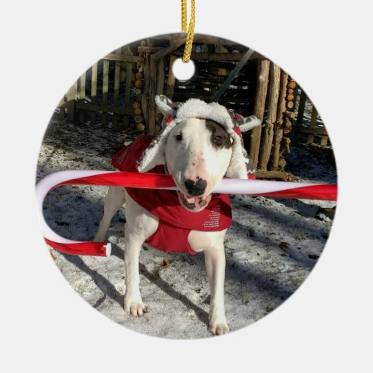 レックスTVテリアのクリスマスオーナメントキャンディーケーン セラミックオーナメント (正面)