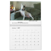 レックスTV Terrier 2020 Word Of The Month Calendar カレンダー (1月 2027)