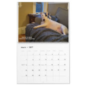 レックスTV Terrier 2021カレンダー カレンダー (3月 2027)