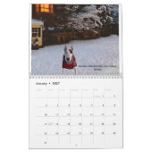 レックスTV Terrier 2023月予定表の単語 カレンダー (1月 2027)