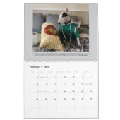 レックスTV Terrier 2025 Bull Terrier Facts Calenda カレンダー (2月 2026)